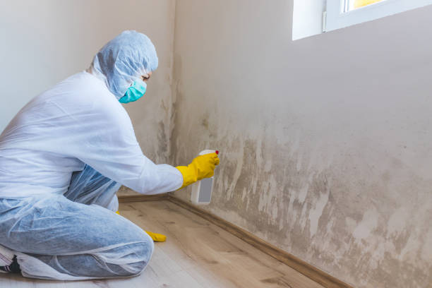 Crawl Space Mold Remediation treatment of floor joists in Crystal Beach